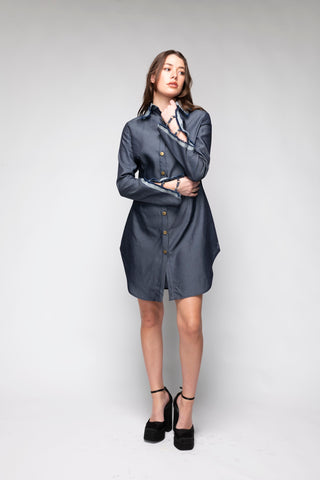 Emory Mini Collared Denim Dress Back Bone Society.