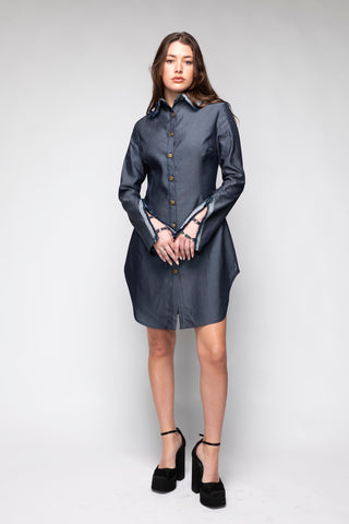 Emory Mini Collared Denim Dress Back Bone Society.