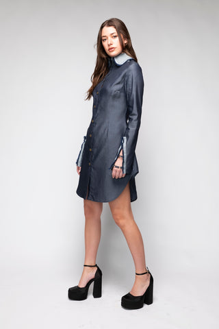 Emory Mini Collared Denim Dress Back Bone Society.