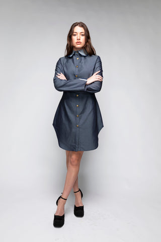 Emory Mini Collared Denim Dress Back Bone Society.