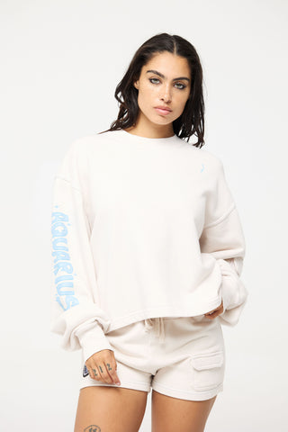 Crewneck Pullover in Aquarius Back Bone Society.