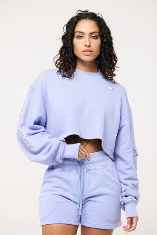 Cropped Pullover in Aquarius Back Bone Society.