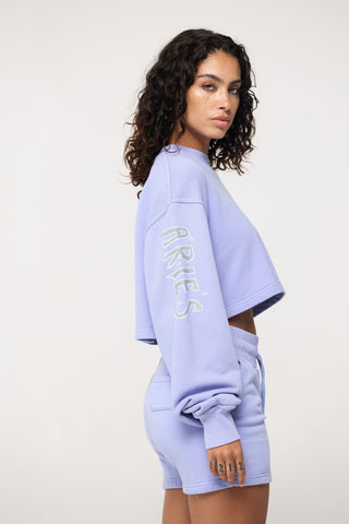Cropped Pullover in Aries Back Bone Society.