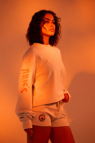 Crewneck Pullover in Aries Back Bone Society.