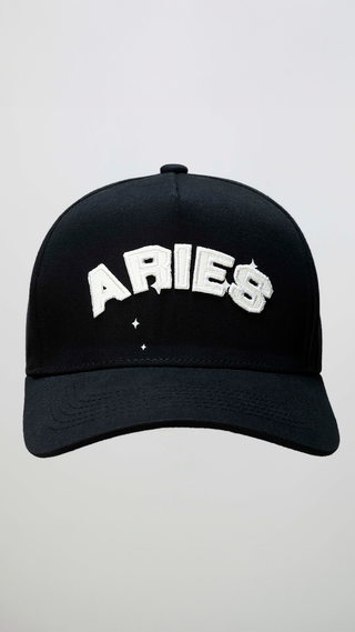 Dad Hat in Aries Back Bone Society.