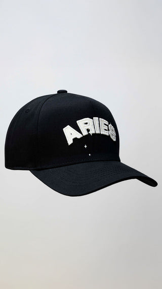 Dad Hat in Aries Back Bone Society.
