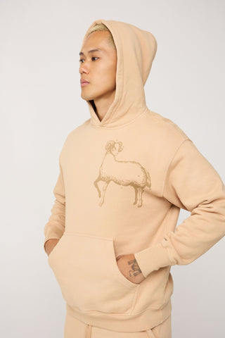 Celestial Aries Hoodie