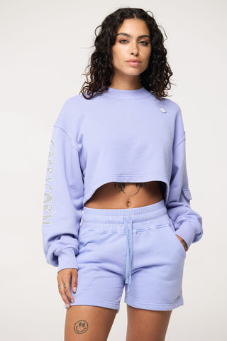Cropped Pullover in Capricorn Back Bone Society.