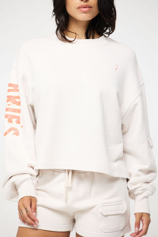 Crewneck Pullover in Aries Back Bone Society.