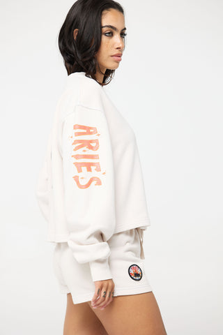 Crewneck Pullover in Aries Back Bone Society.