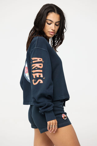 Crewneck Pullover in Aries Back Bone Society.