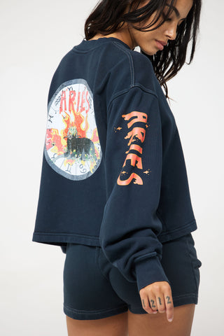 Crewneck Pullover in Aries Back Bone Society.