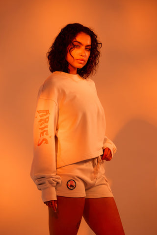 Crewneck Pullover in Aries Back Bone Society.