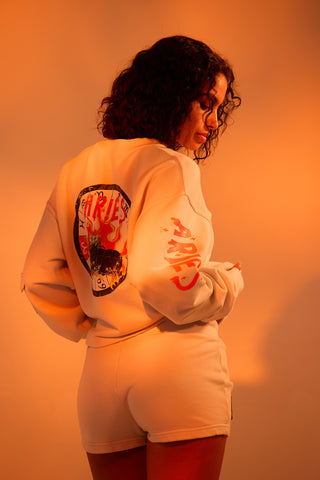 Crewneck Pullover in Aries Back Bone Society.