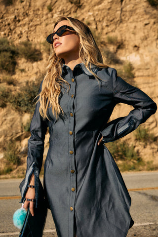 Emory Mini Collared Denim Dress Back Bone Society.