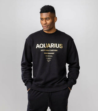 The Horoscope Crewneck in Aquarius Back Bone Society.