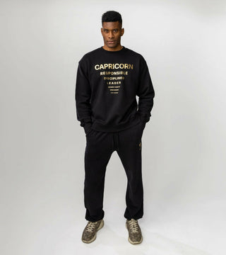 The Horoscope Crewneck in Capricorn Back Bone Society.