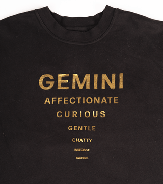 The Horoscope Crewneck in Gemini Back Bone Society.