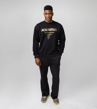 The Horoscope Flared Sweatpants in Aquarius Back Bone Society.