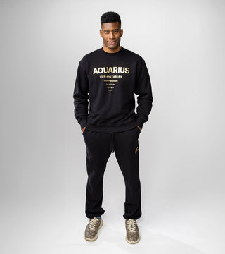 The Horoscope Sweatpants in Aquarius Back Bone Society.