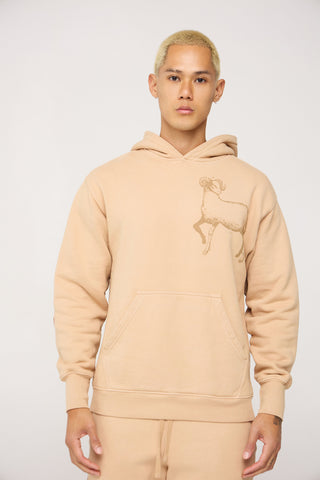 Celestial Aries Hoodie