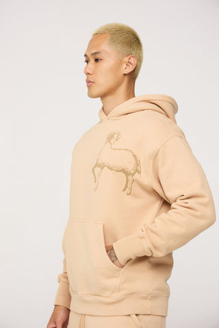 Celestial Aries Hoodie