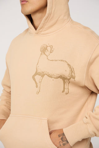 Celestial Aries Hoodie