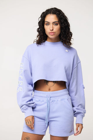 Cropped Pullover in Pisces