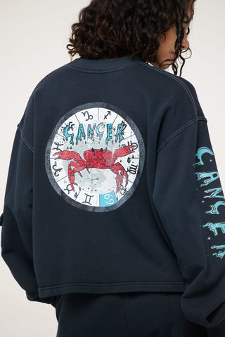 Crewneck Pullover in Cancer