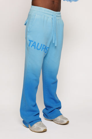 Zodiac Flared Sweatpants in Taurus