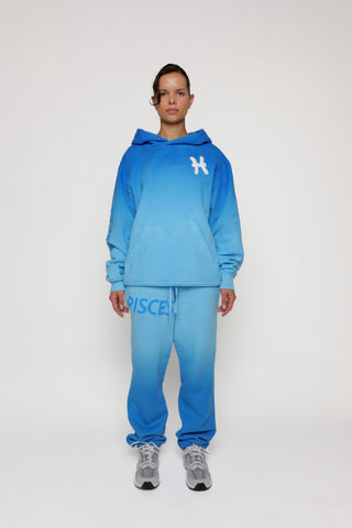 Zodiac Hoodie in Pisces